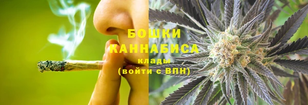 гашик Пересвет