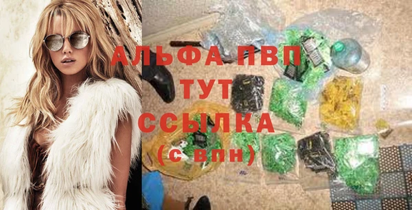 гашик Пересвет