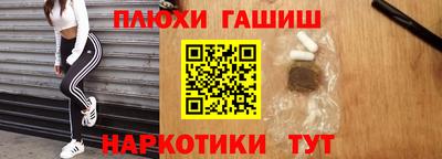 индика Гусь-Хрустальный