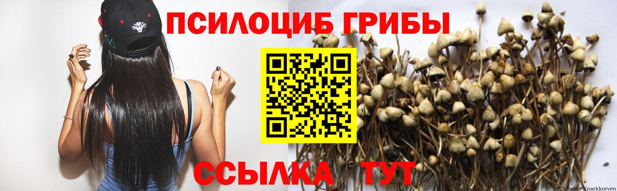 Псилоцибиновые грибы MAGIC MUSHROOMS Печора