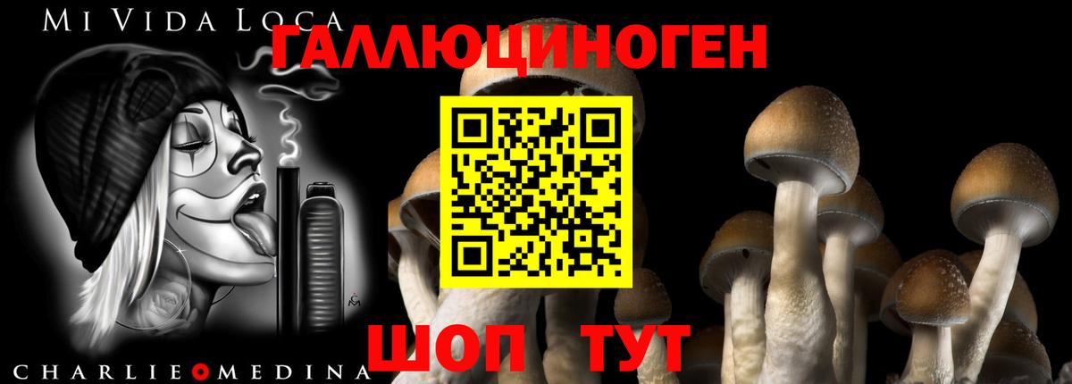 Псилоцибиновые грибы мицелий  Вход с VPN  Печора 