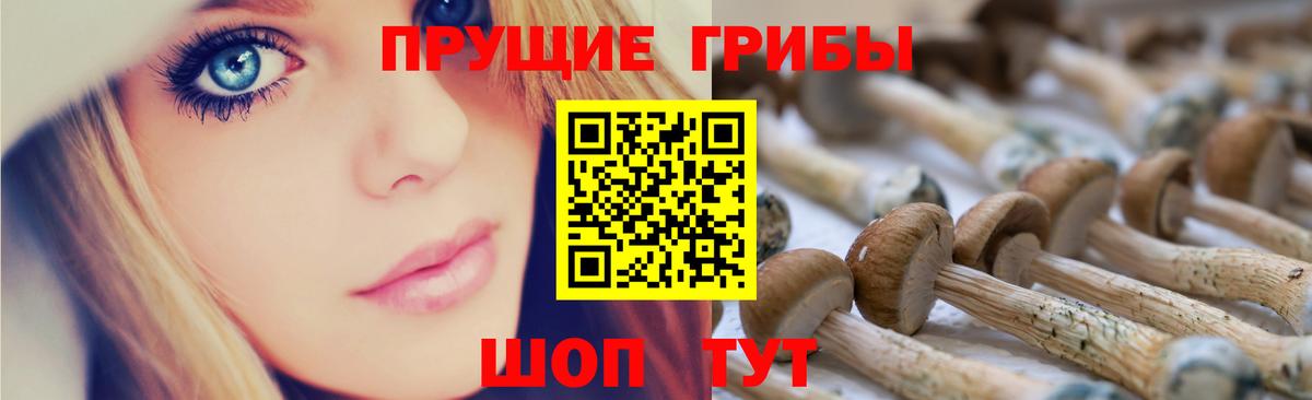 дарнет шоп  Печора  Псилоцибиновые грибы Psilocybine cubensis  Псилоцибиновые грибы Cubensis 
